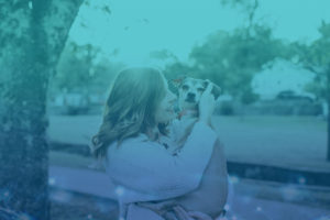 Treat PTSD & Trauma Naturally | Synapse Chicago